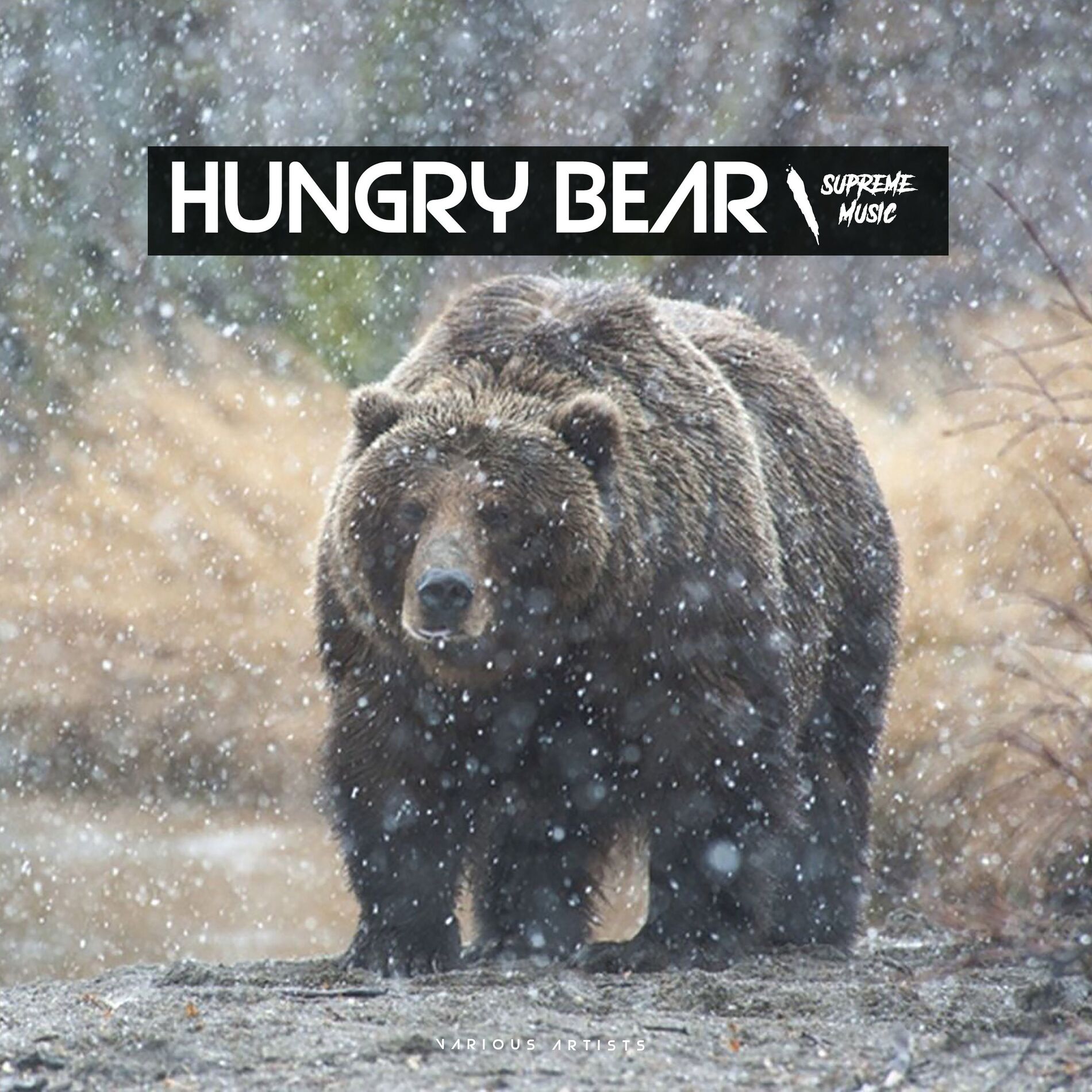 Album cover of Hungry Bear