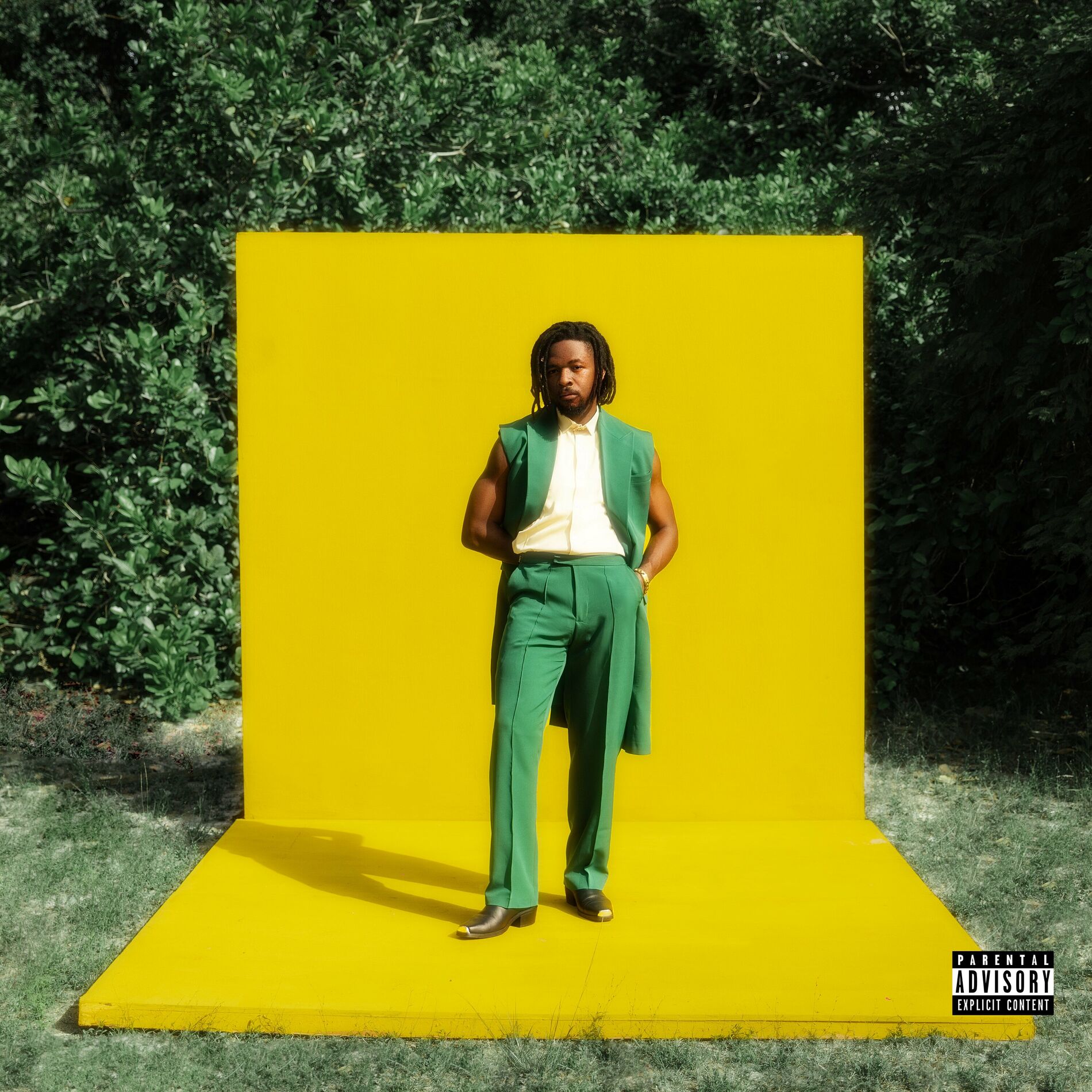 Album cover of Palava