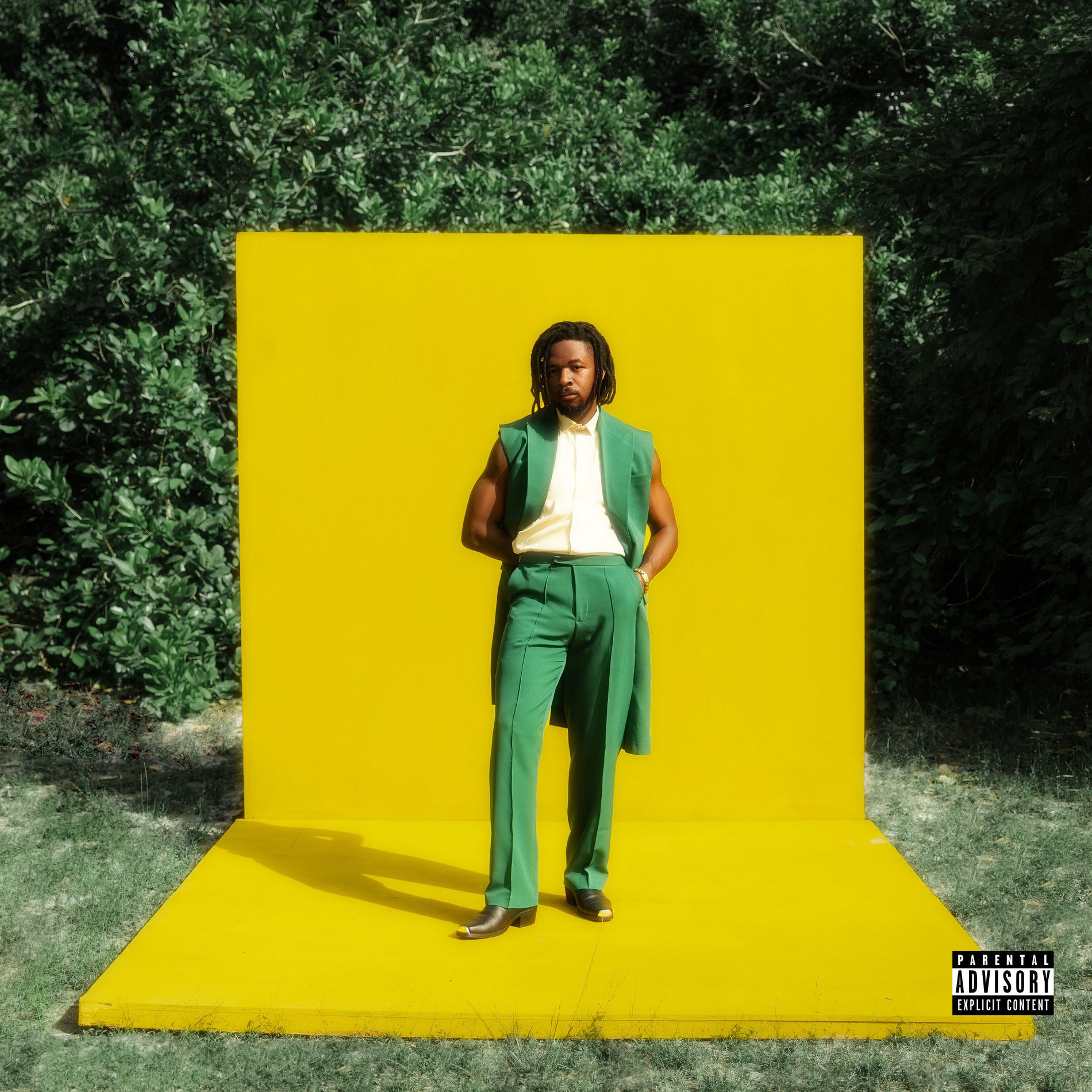 Album cover of Palava