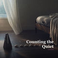 Counting the Quiet