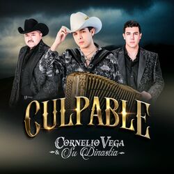 Cover of Culpable