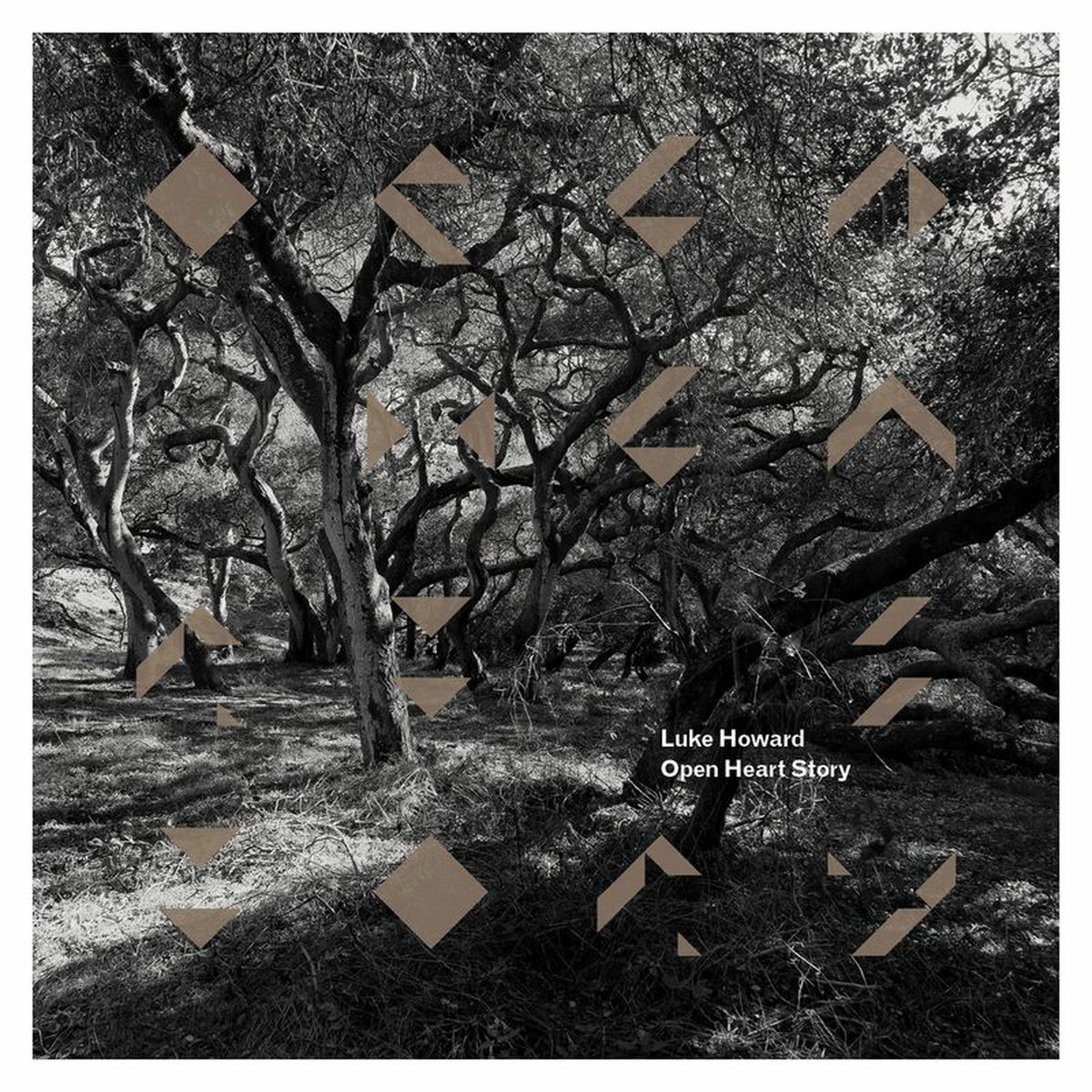 Album cover of Blossom