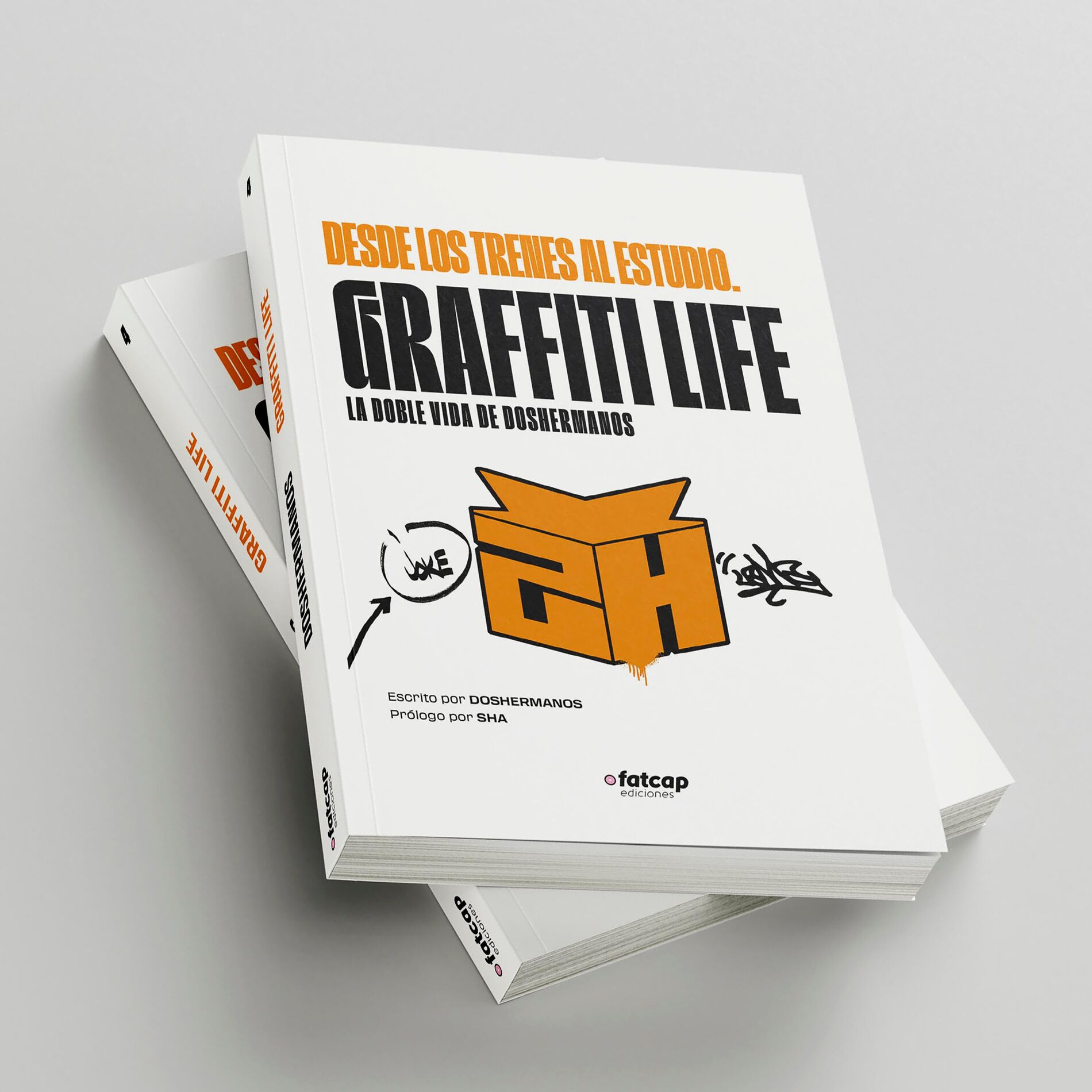 Album cover of GRAFFITI LIFE: DESDE LOS TRENES AL ESTUDIO
