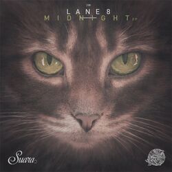 Cover of Midnight