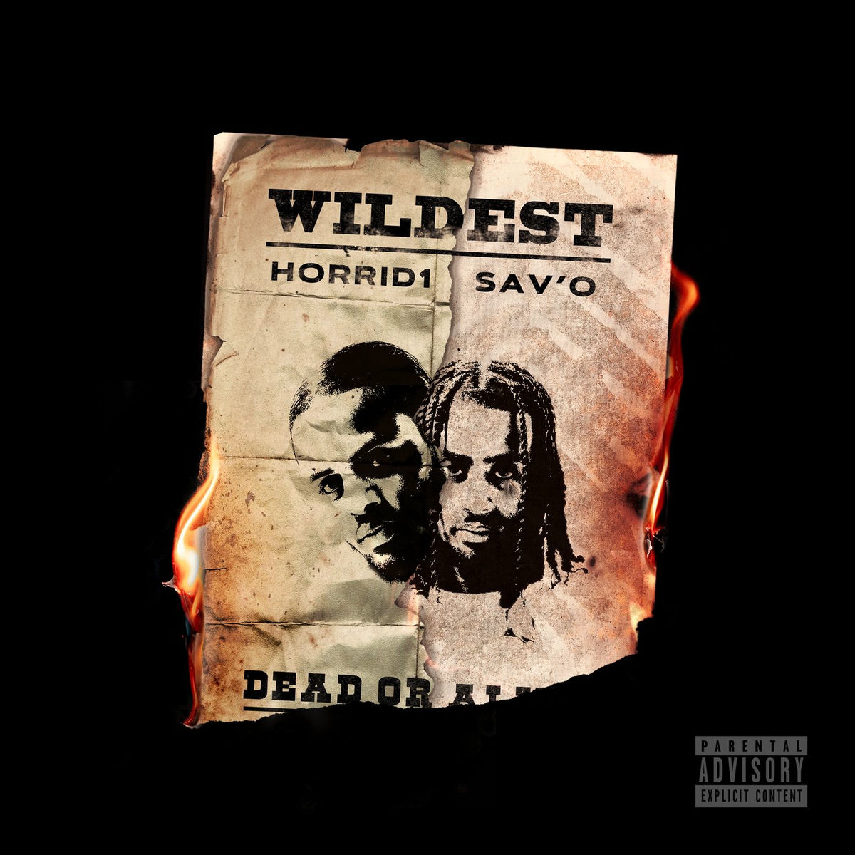 Album cover of Wildest