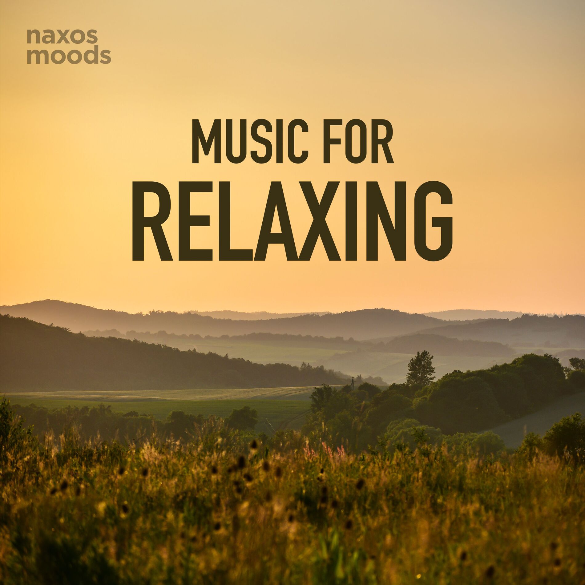 Album cover of Music for Relaxing