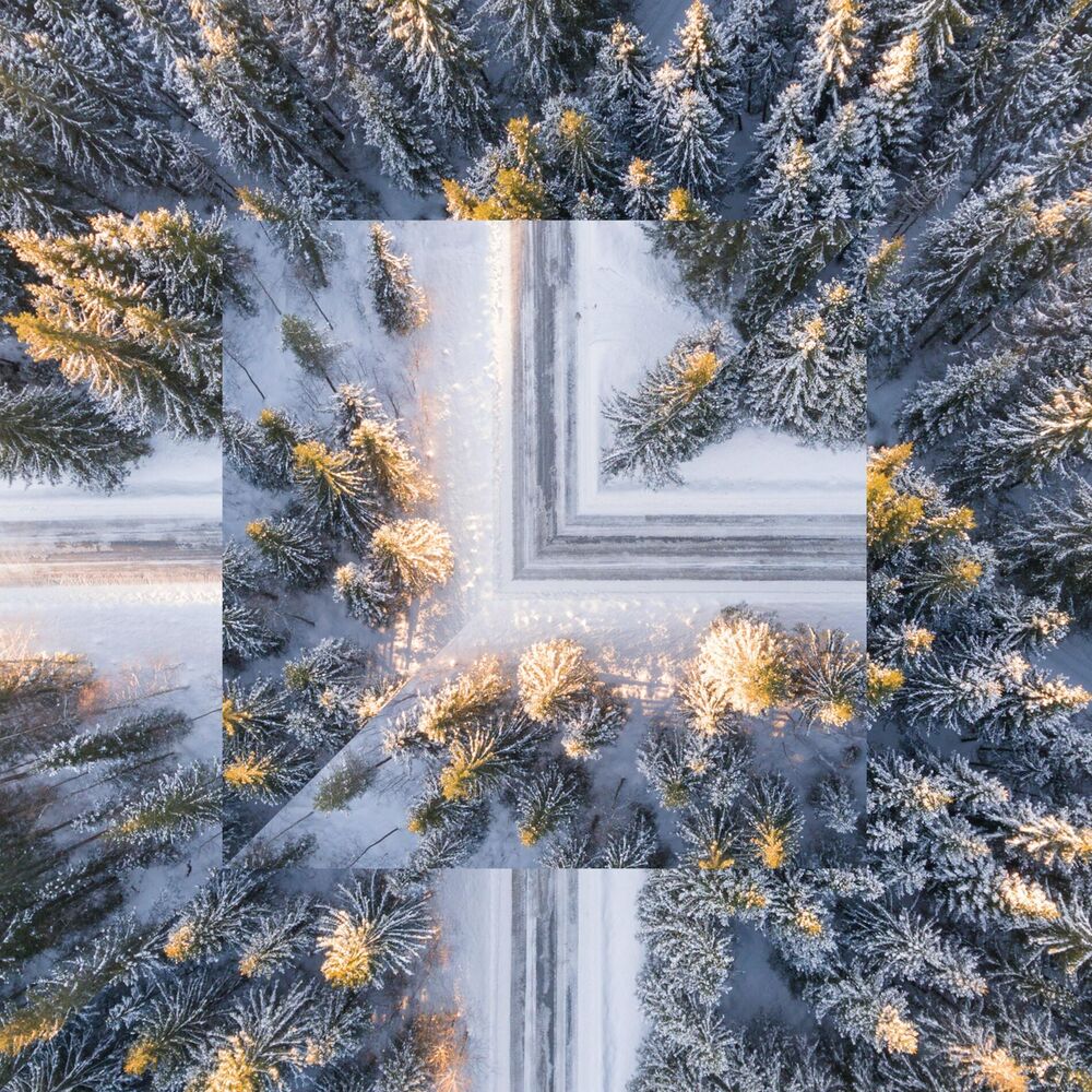 Picture of Winter