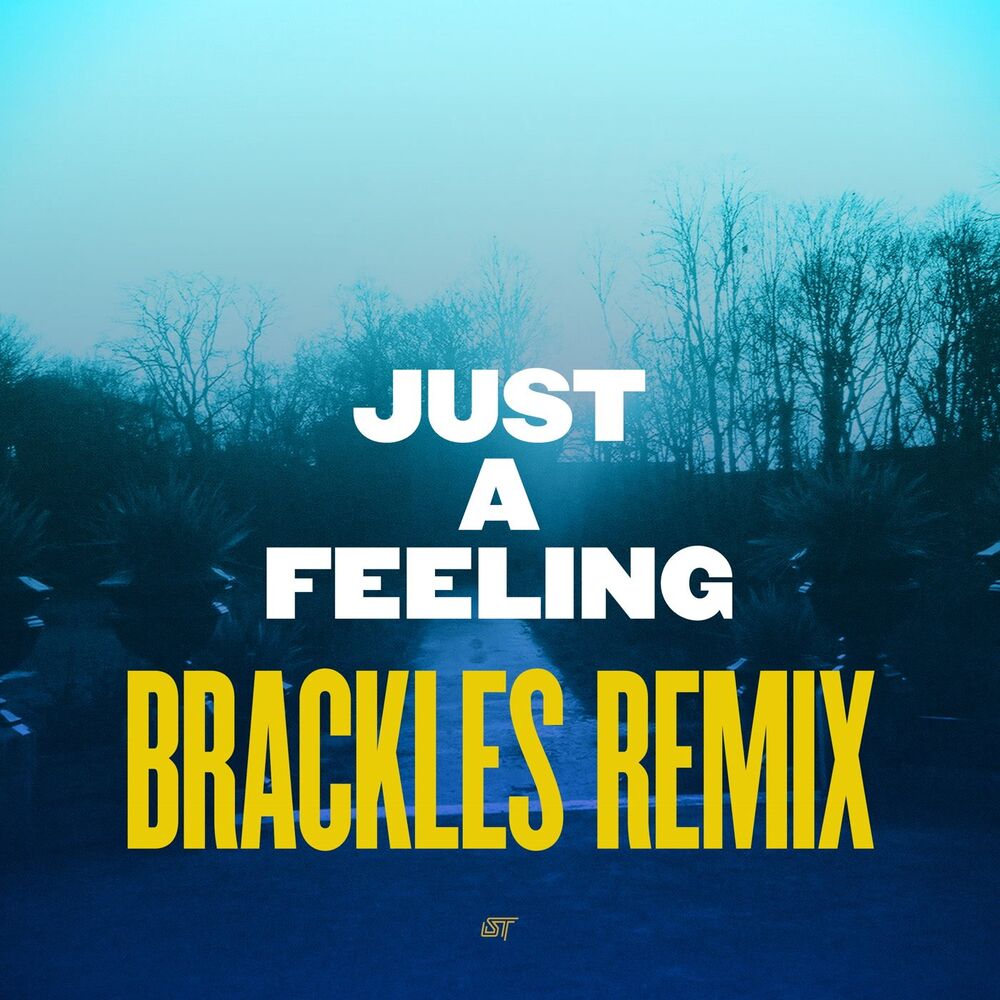 Picture of Just a Feeling (Brackles Remix)