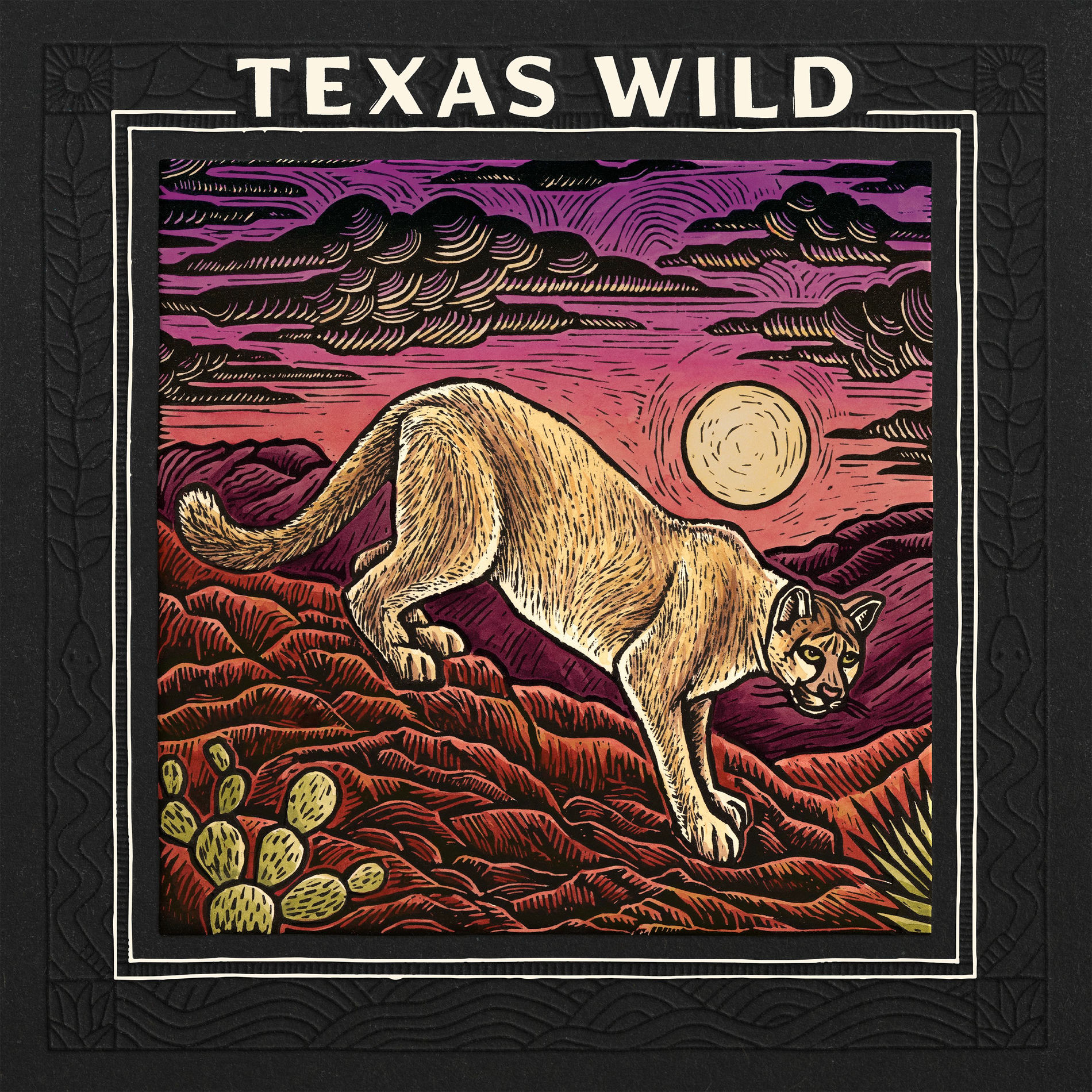 Album cover of Texas Wild (Deluxe Edition)