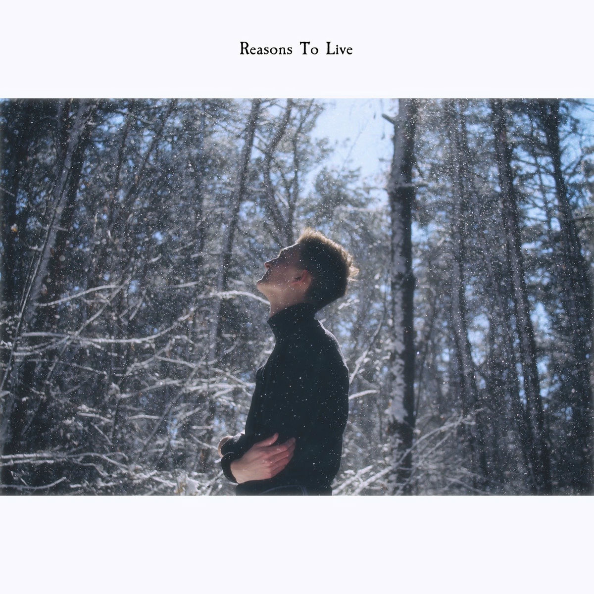 Album cover of Reasons to Live
