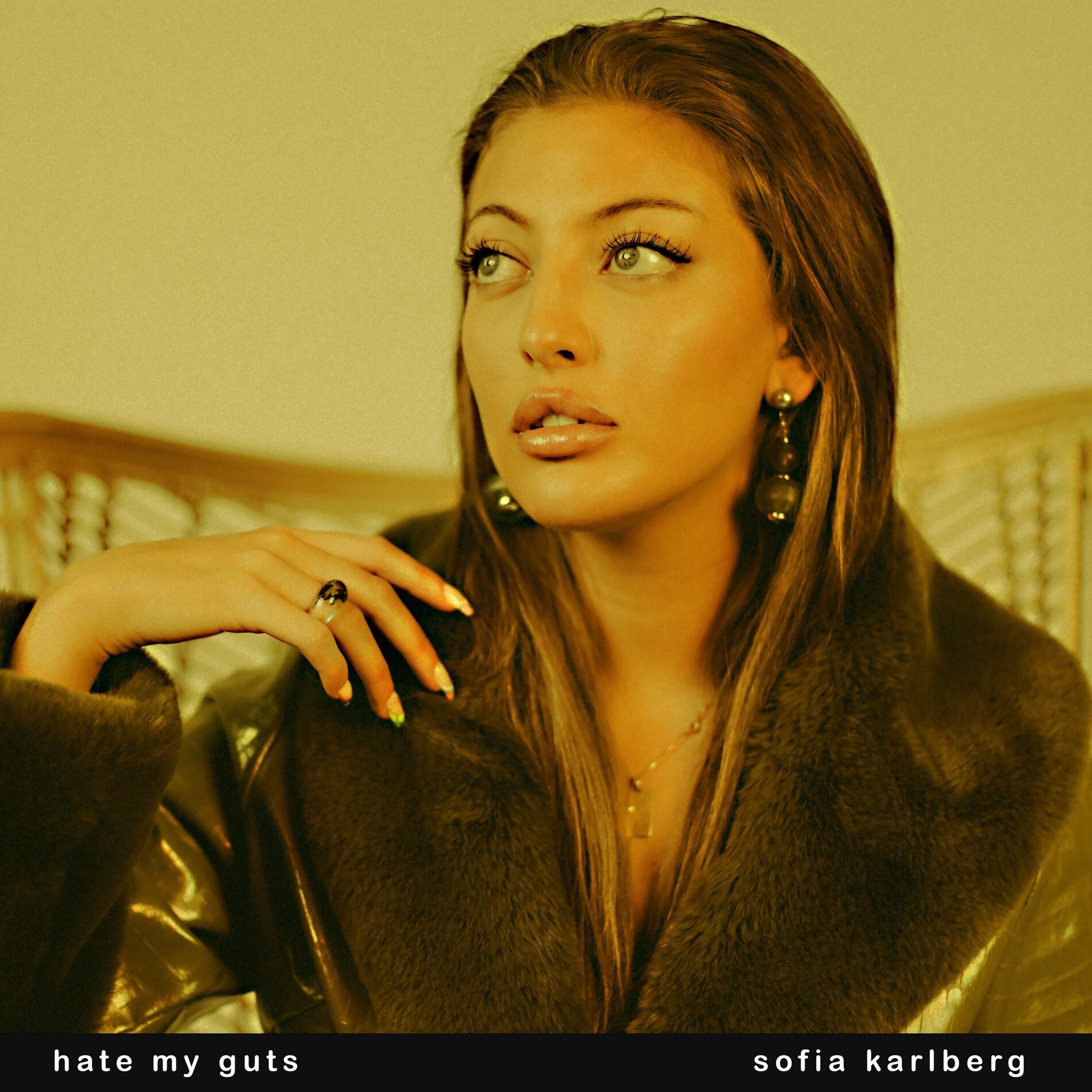 Album cover of Hate My Guts
