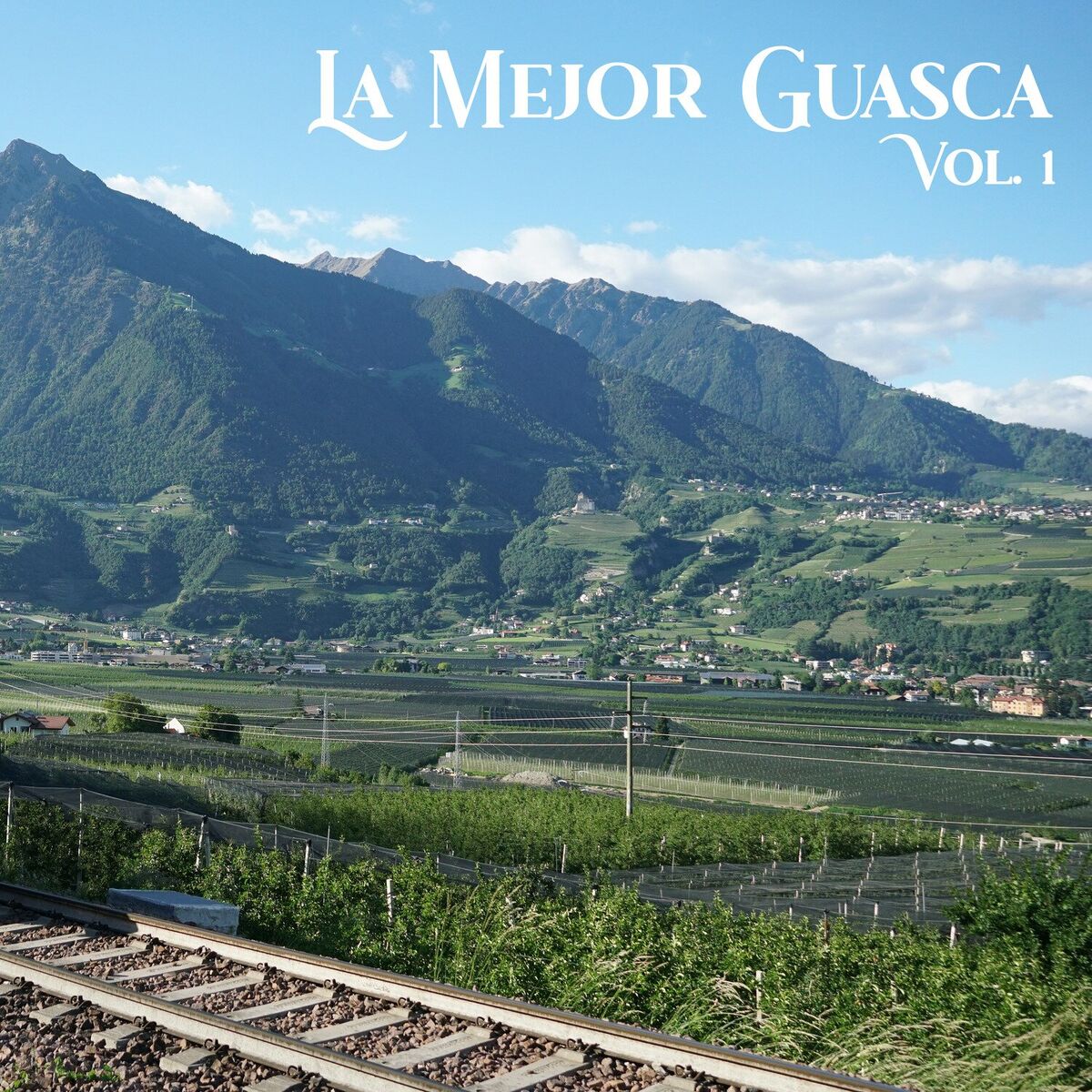 Album cover of La Mejor Guasca Vol. 1
