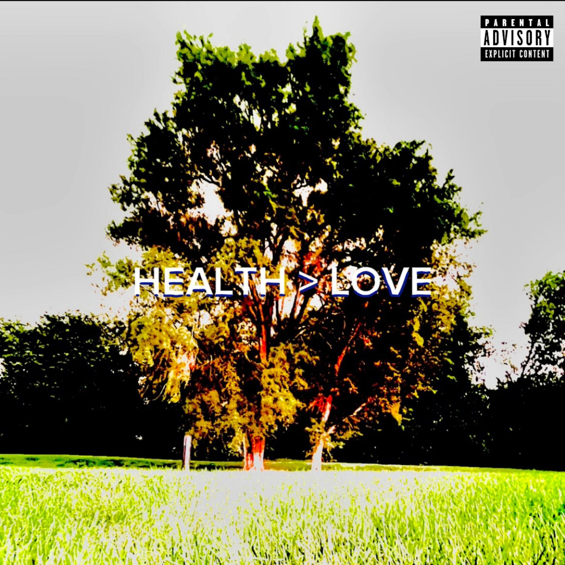 Album cover of HEALTH > LOVE