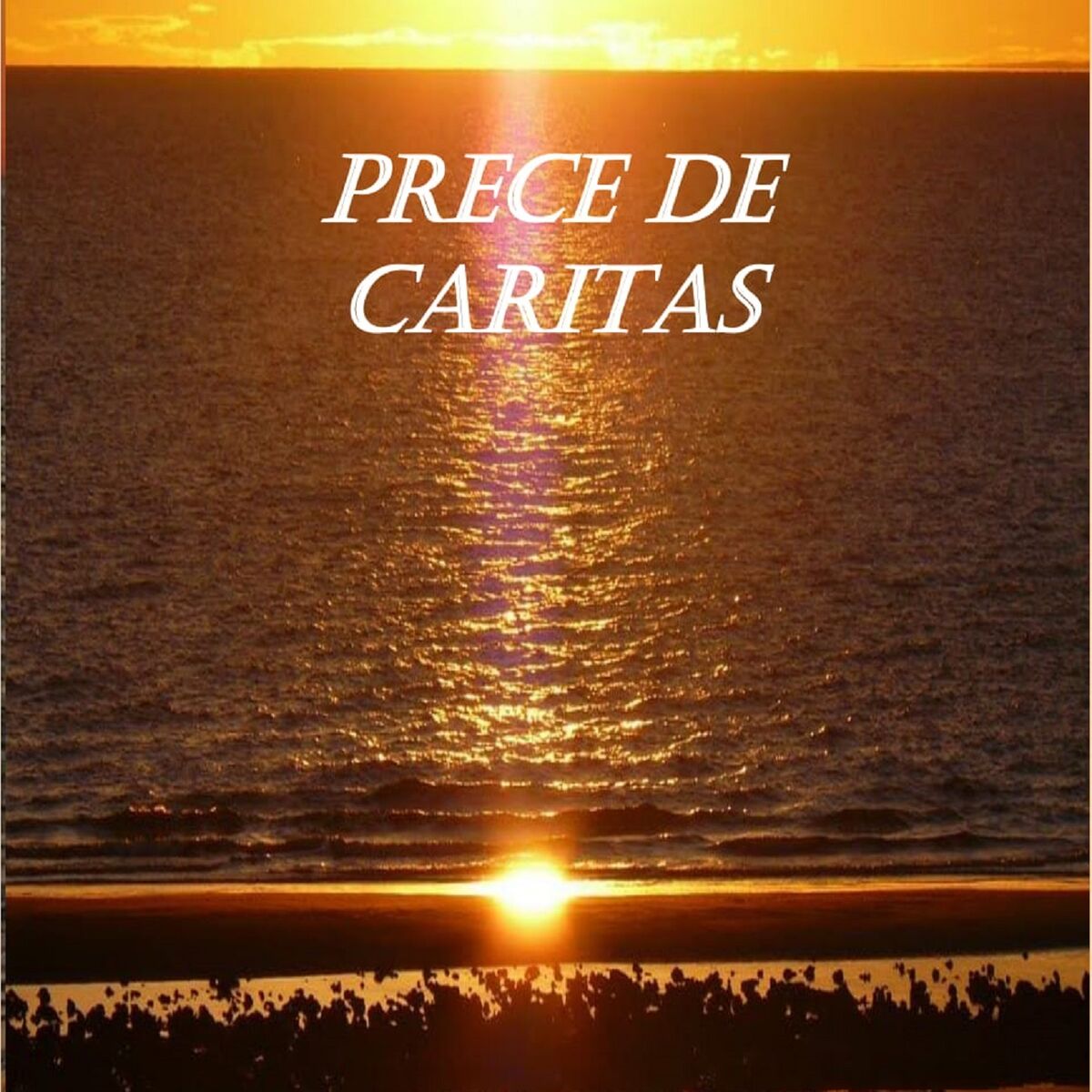 Album cover of Ave Maria