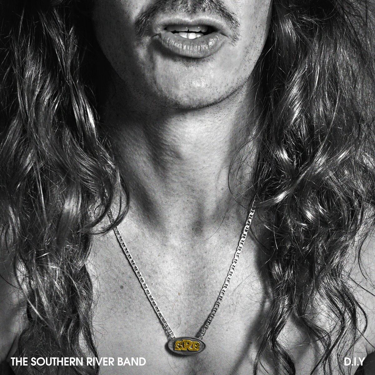Album cover of D.I.Y