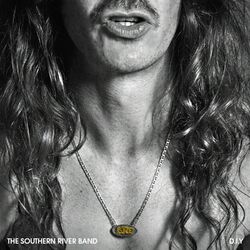 Cover of D.I.Y