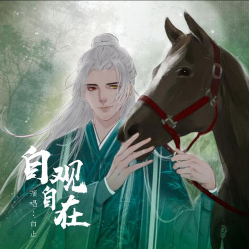 自观自在 (伴奏)