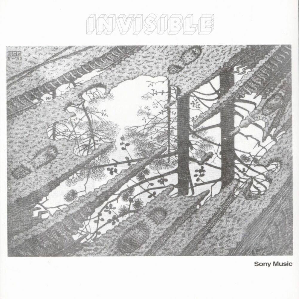 Picture of Invisible