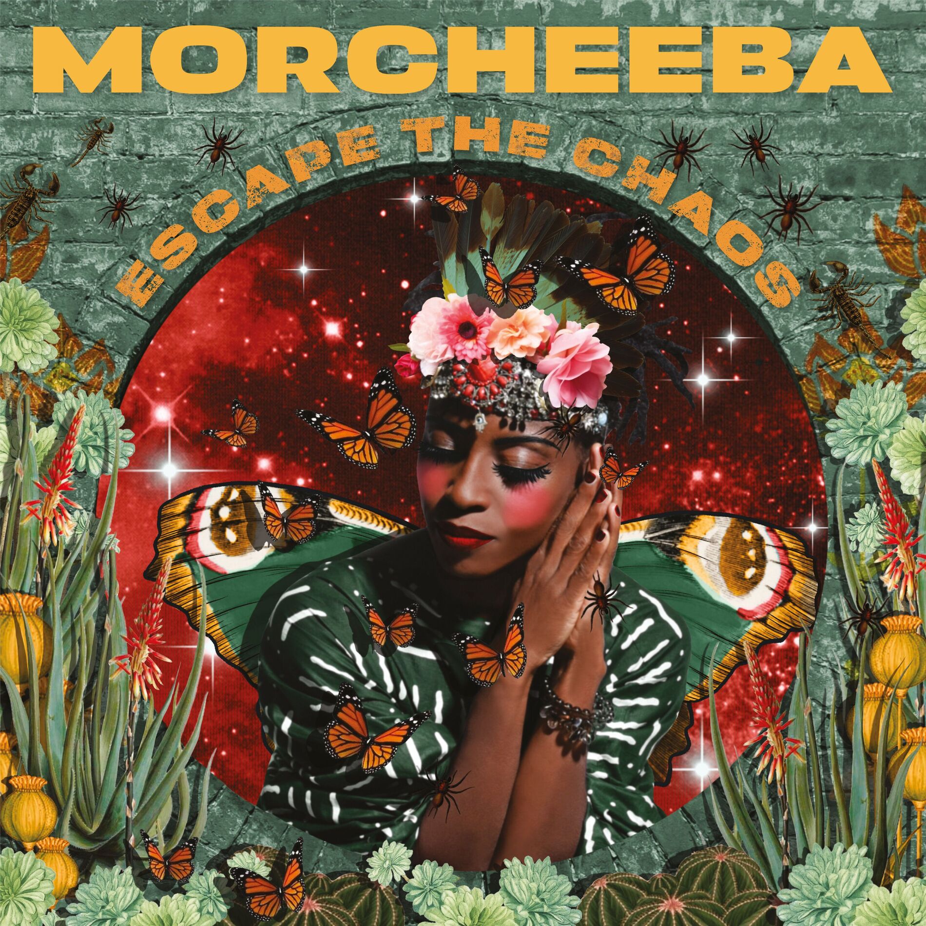 Album cover of Peace Of Me
