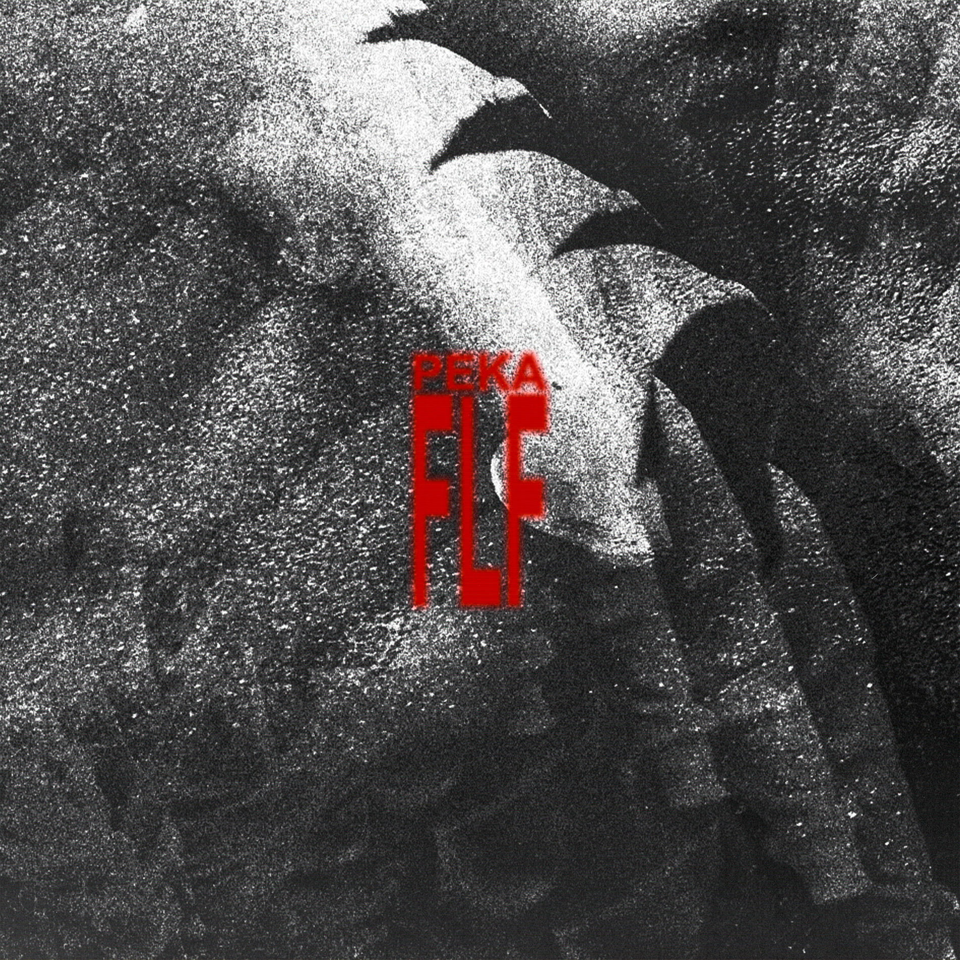 Album cover of FLF