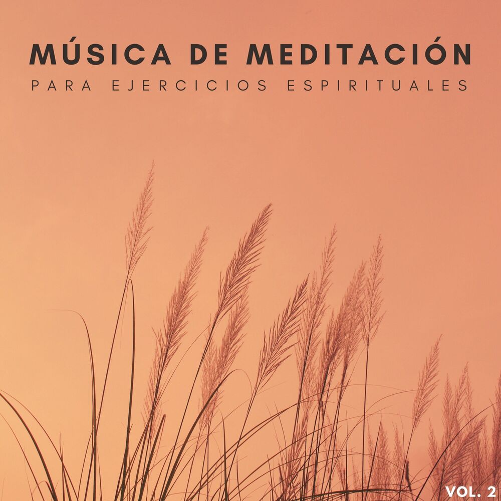Picture of Música De Meditación Para Ejercicios Espirituales Vol. 2