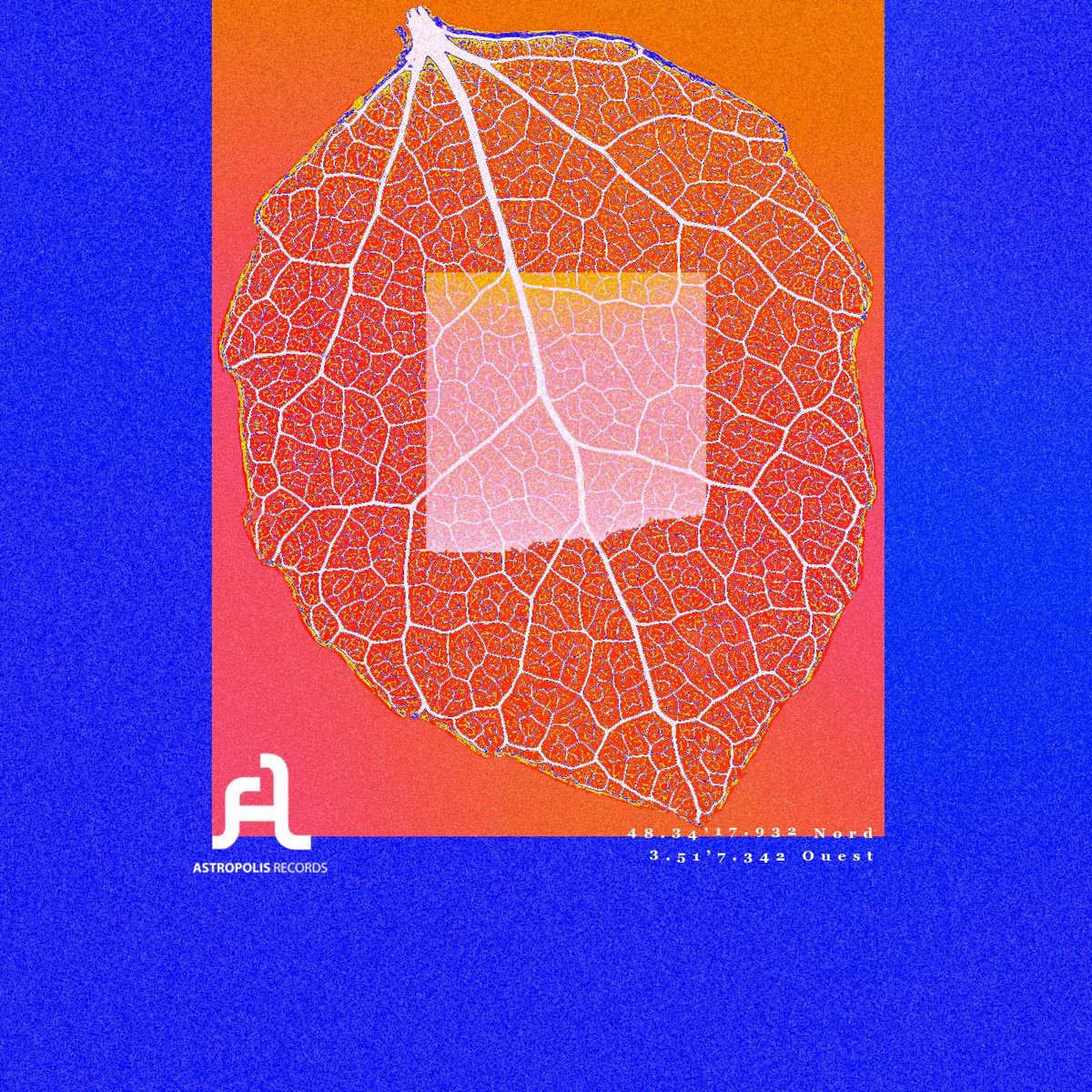 Album cover of Poplar (Remixes)
