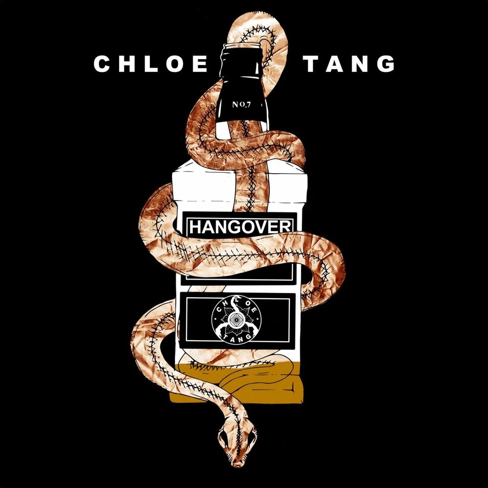 Picture of Hangover