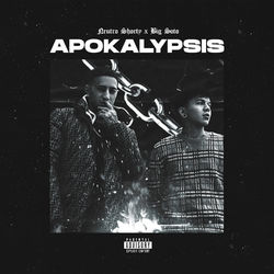 Cover of Apokalypsis
