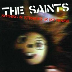 Cover of Nothing Is Straight in My House
