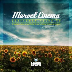 Cover of Sunflower Seeds Ep
