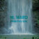 The Twist by M. Ward album cover