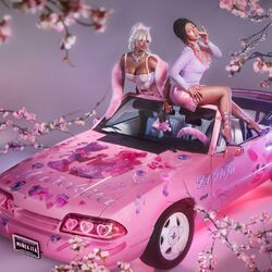 Cover of Muñekita (AOP)