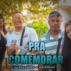 Cover of Pra Comemorar