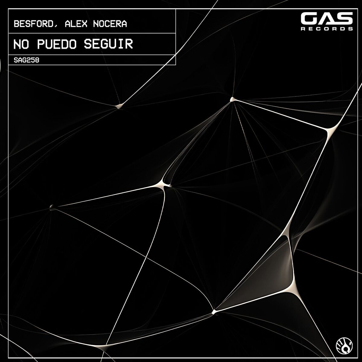 Album cover of No Puedo Seguir