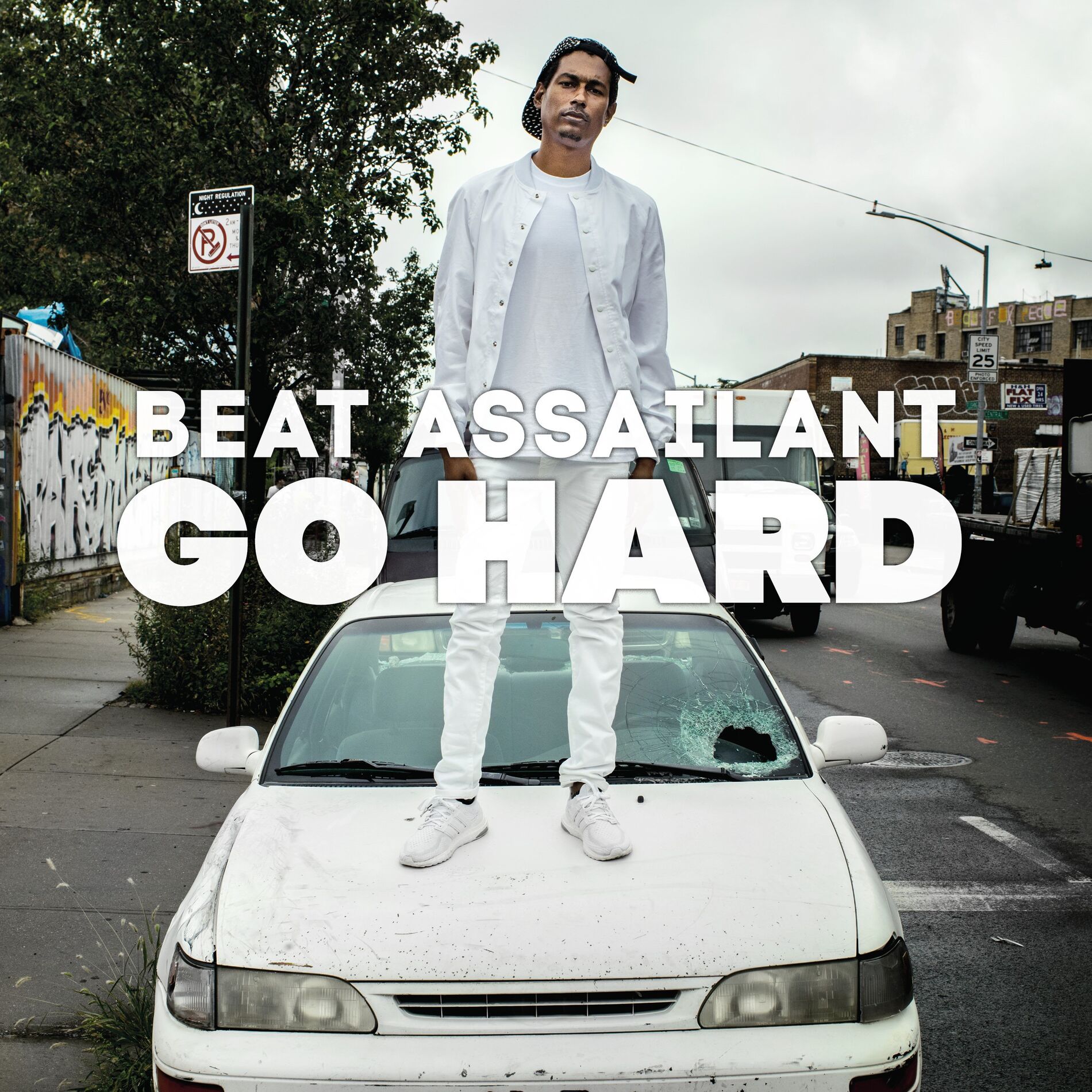 Album cover of Go Hard