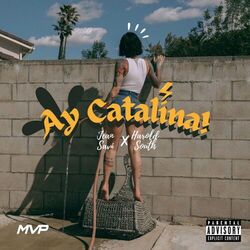 Cover of Ay! Catalina