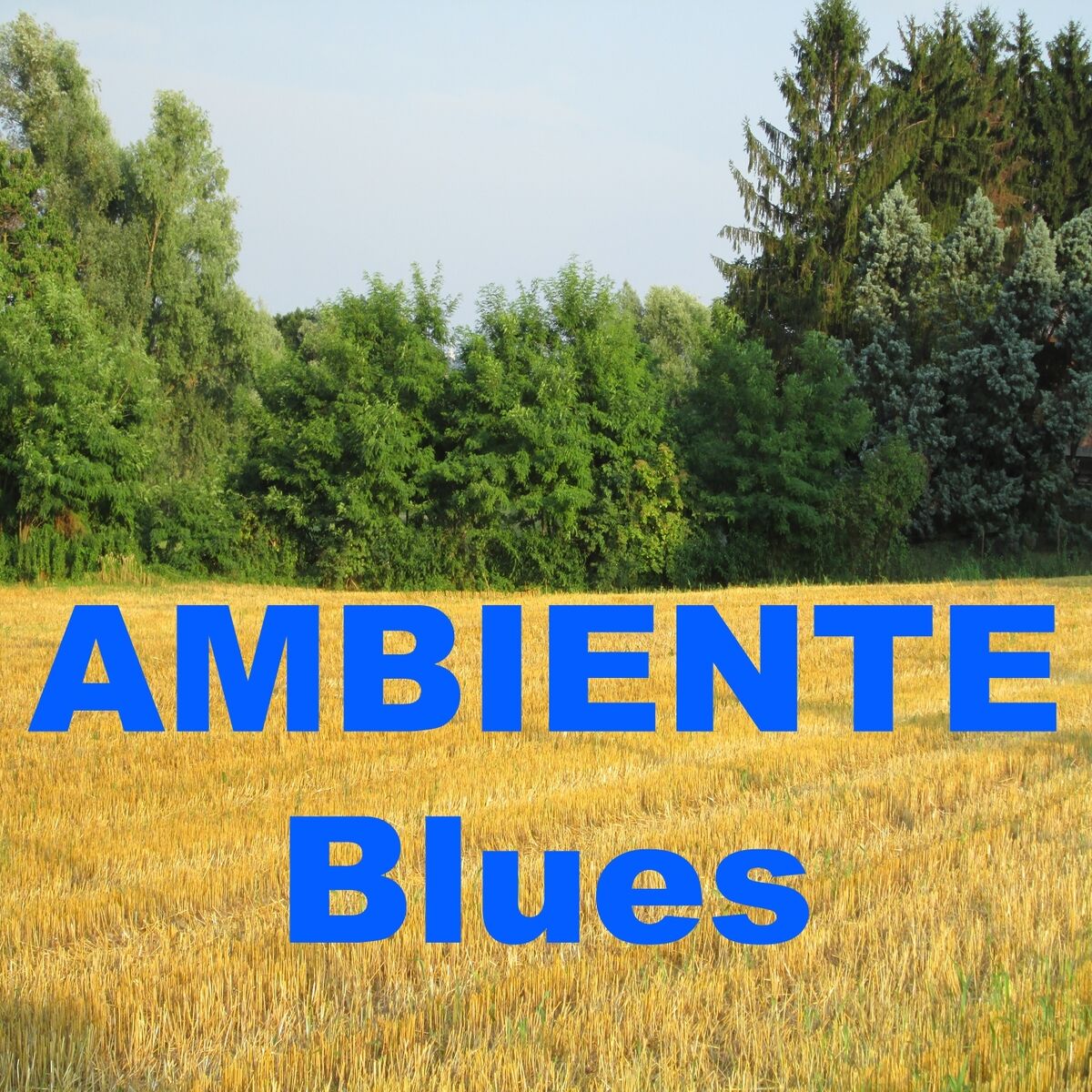 Album cover of Ambiente blues
