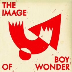 Cover of The Image Of Boy Wonder