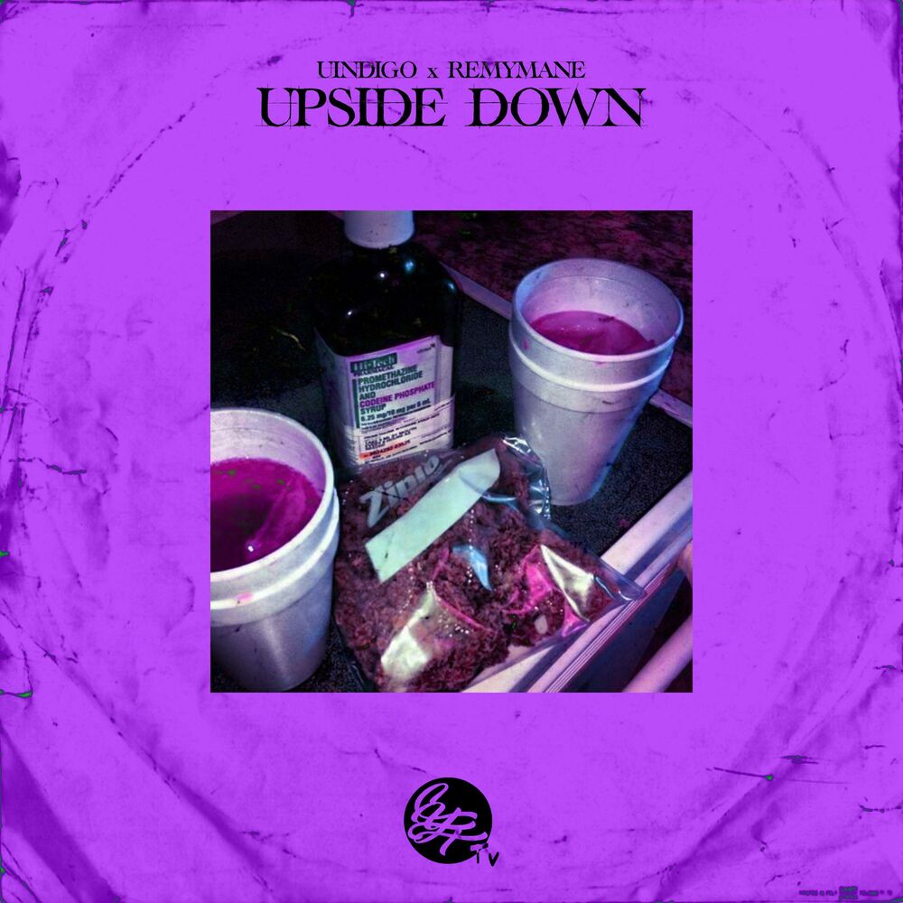 Picture of UPSIDE DOWN