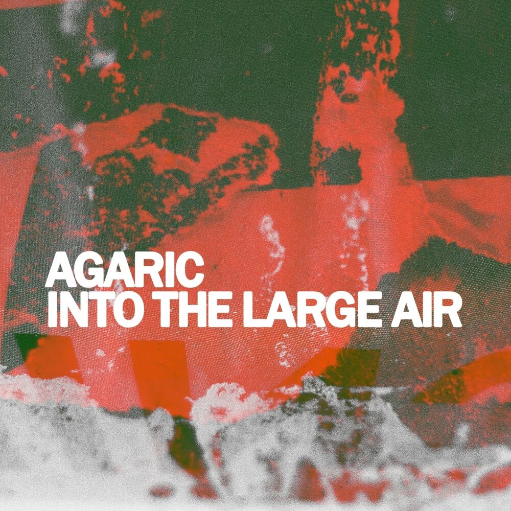Picture of Into the Large Air