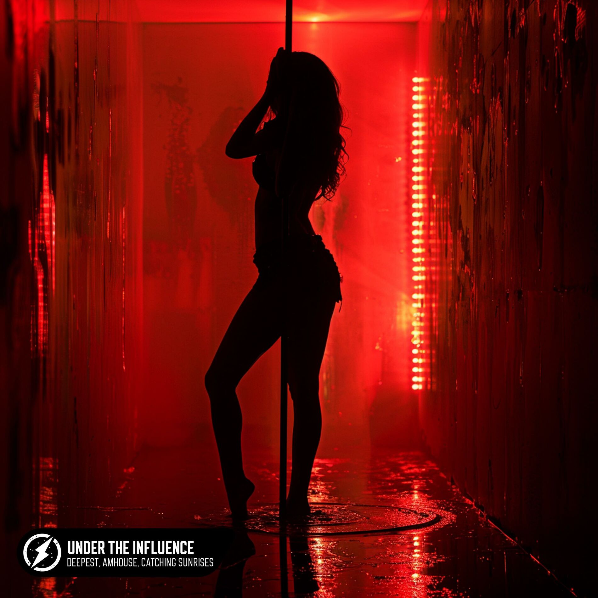 Album cover of Under The Influence