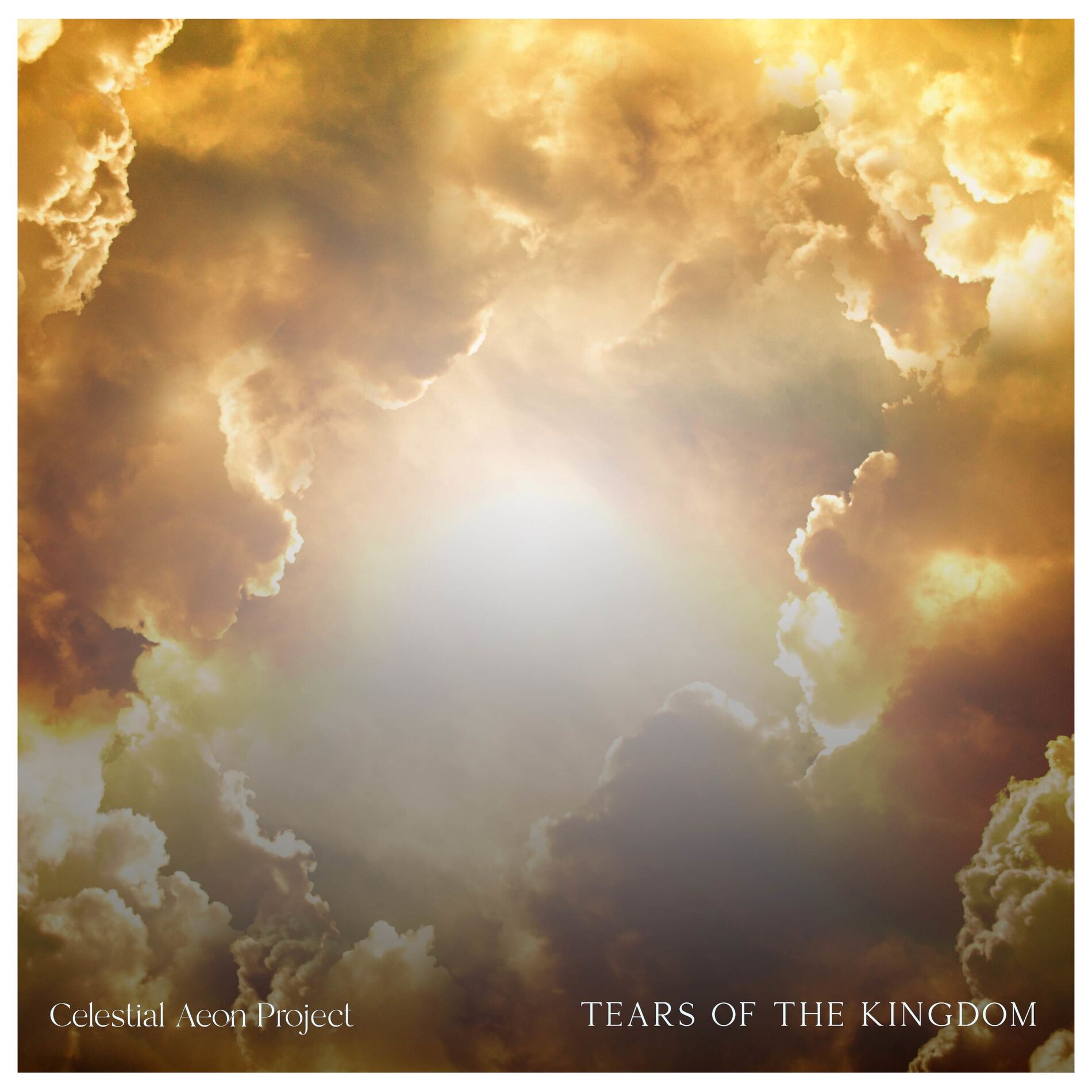 Album cover of Tears of the Kingdom