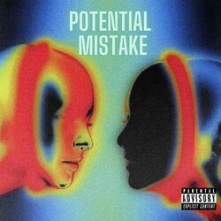 Cover of Potential Mistake