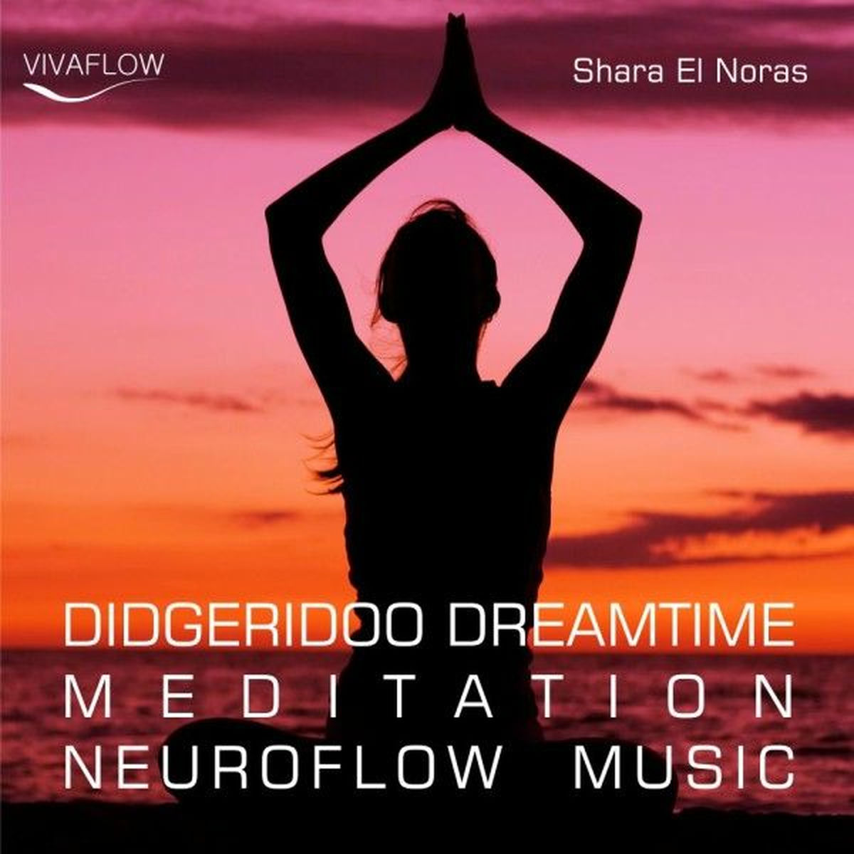Album cover of Didgeridoo Dreamtime Meditation Neuroflow Music