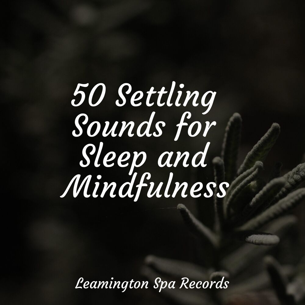 Picture of 50 Settling Sounds for Sleep and Mindfulness