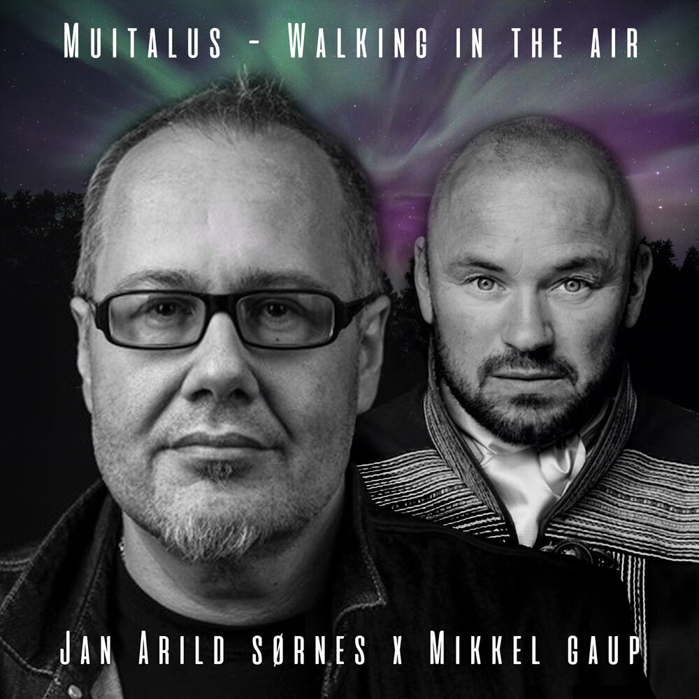 Picture of Walking in the Air