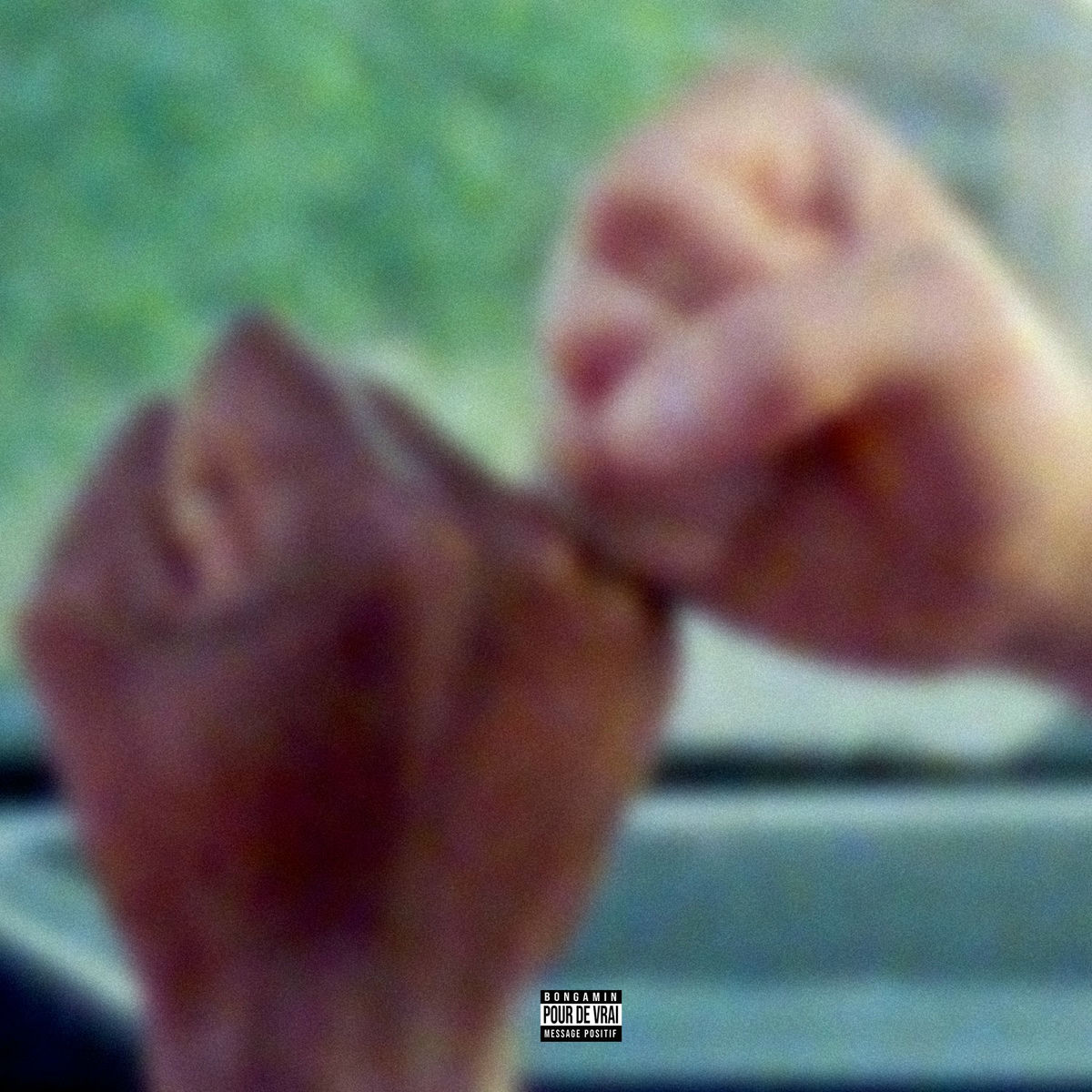 Album cover of Noir ou blanc