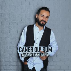 Cover of Kayboldu Bütün Ömrüm