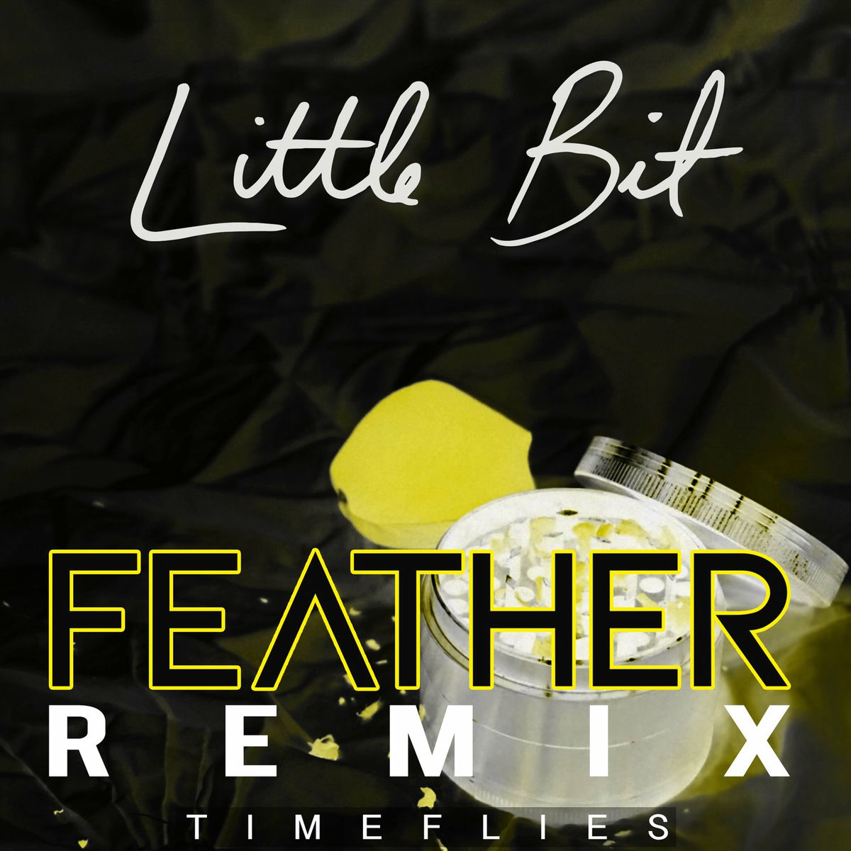 Album cover of Little Bit (Feather Remix)