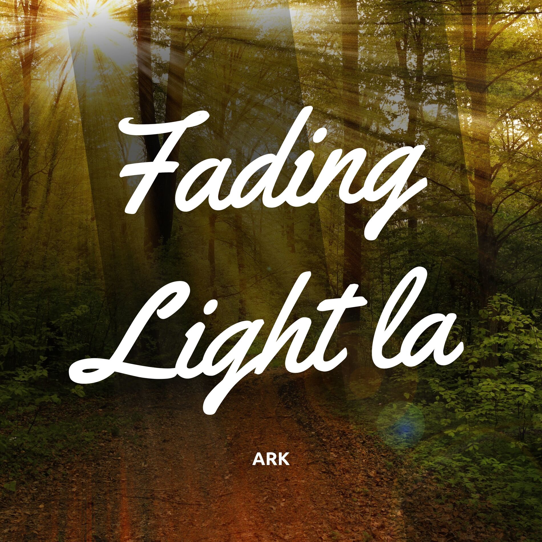Album cover of Fading Light la